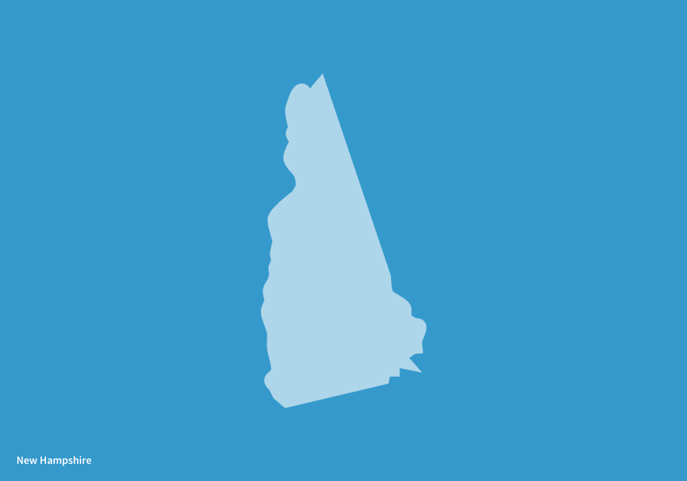 New Hampshire: Laura Buell, Chapter President