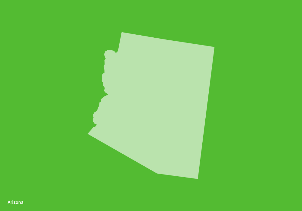 Arizona: Lucia Wheele, Chapter President