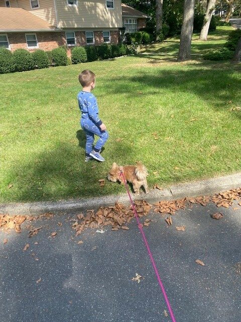 Child of Fenwick & West employee at Pajama Walk 2021