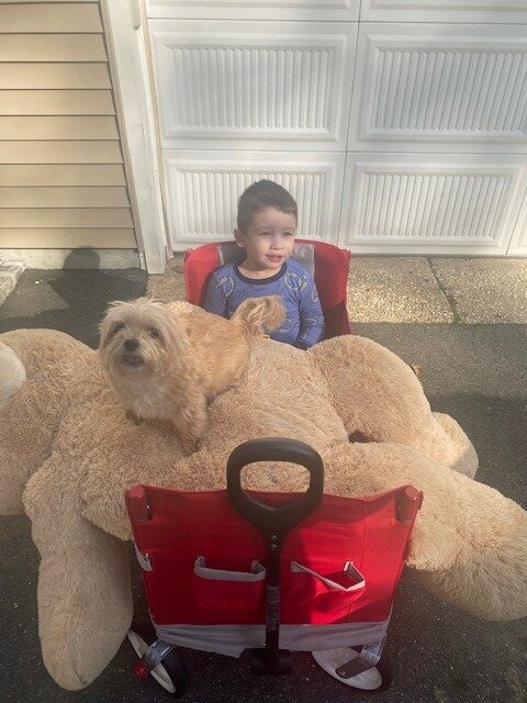 Child of Fenwick & West  employee in red wagonFenwick & West family at Pajama Walk 2021